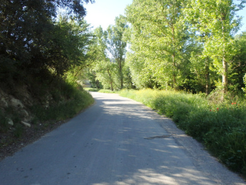 On the road to Montefrío.